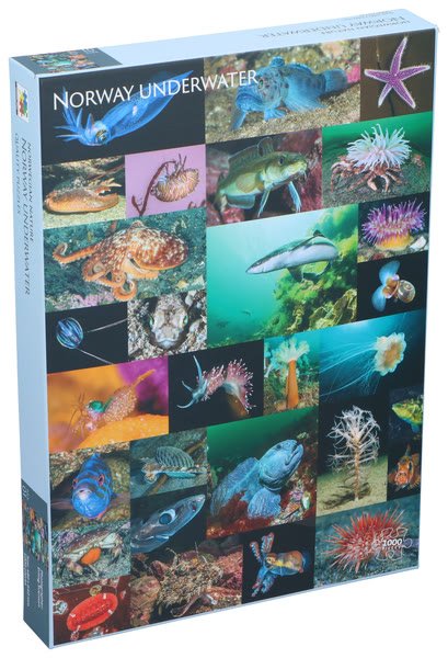 Vennerod Puzzle 1000pcs Norway un